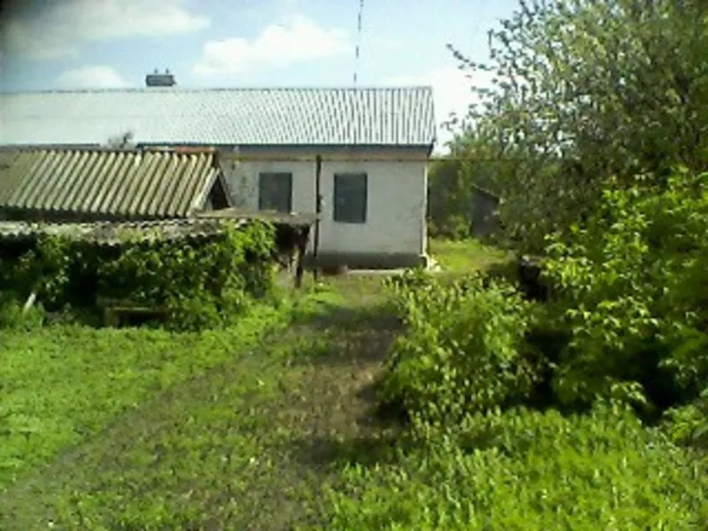 Продам дом в Орловской области с участком 50 соток